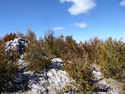 Crête Ourbes sommet