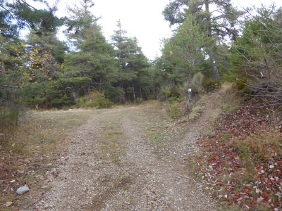 Croisement piste Col