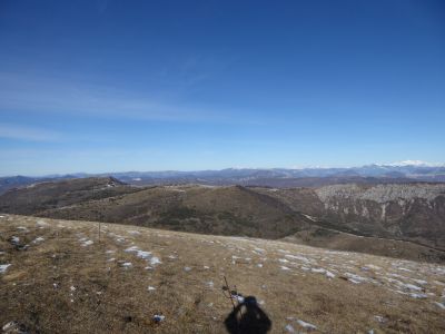 Descente Âne