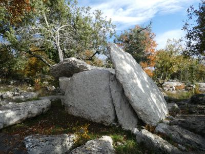 Vue dolmen Figère