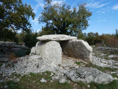 Vue dolmen Figère 2