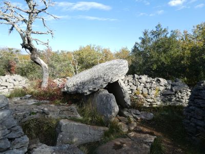 Vue dolmen Figère 4