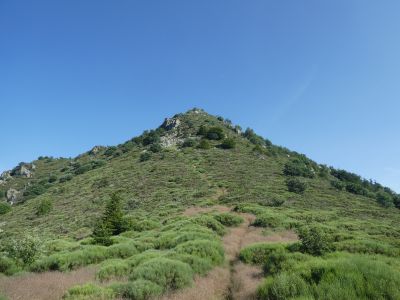 Vue Mont Aigu