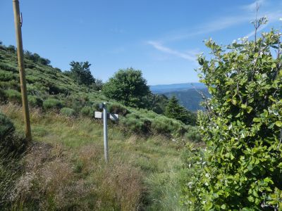 Croisement montée Aigu 2