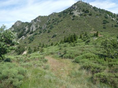 Croisement montée Sucheyre