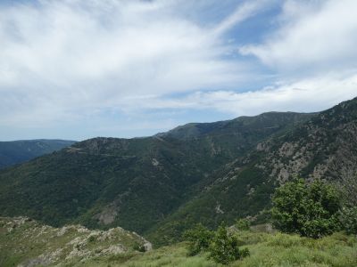 Vue montée Langoustines