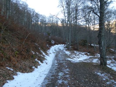 Croisement après Gardie 2