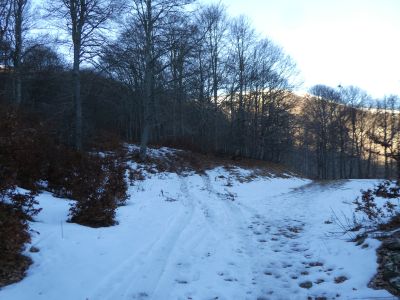 Croisement après Gardie 3