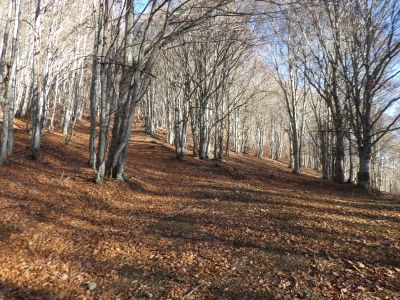 Croisement après Gardie 4