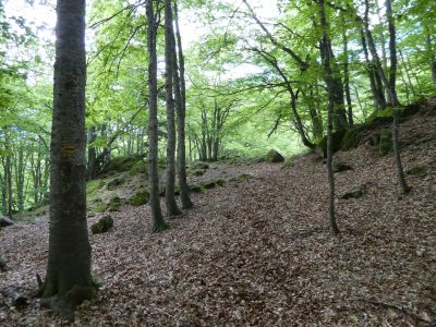 Croisement balisage erroné