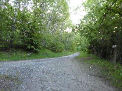 Croisement RF Bruyante