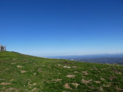 Coulobre