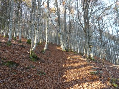 Vue montée Mounoye