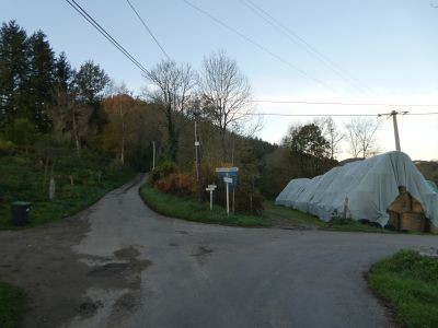 Col Four