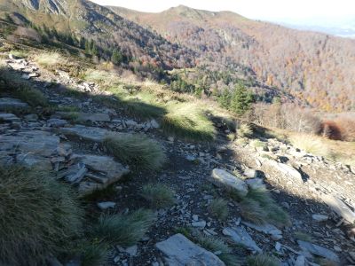 Croisement après Coulobre 2