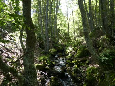 Vue Ruisseau Frède
