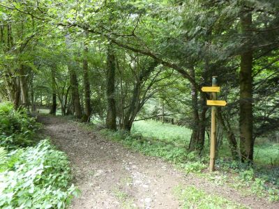 Chemin Courtaillou