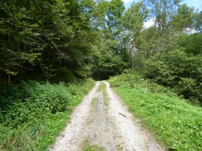 Chemin Moulin 2