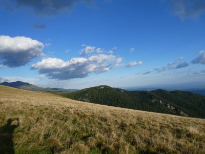 Vue Planas