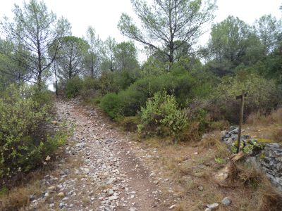 Croisement Capitelle 2 1