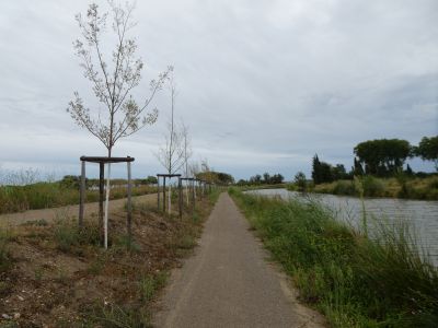 Vue sentier Canal Midi