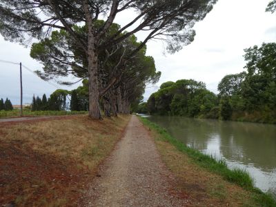 Vue sentier Canal Midi 2