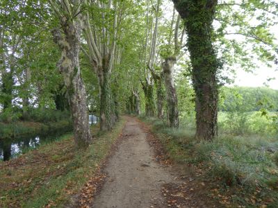 Vue sentier Mirepeisset