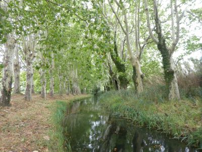 Vue Canal Mirepeisset