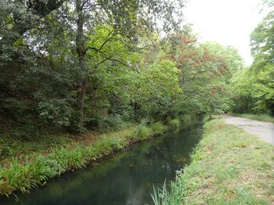 Vue Canal Mirepeisset 2