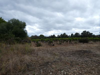 Croisement Sainte-Lucie 2