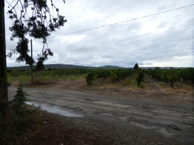 Croisement fin Sainte-Lucie