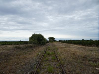 Vue Autorail Minervois