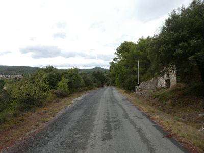 Croisement Pech occidental