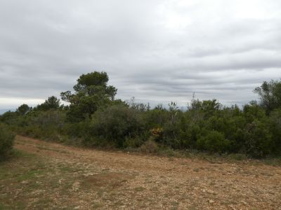 Croisement sommet Viviès