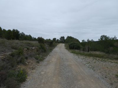 Croisement Botanique