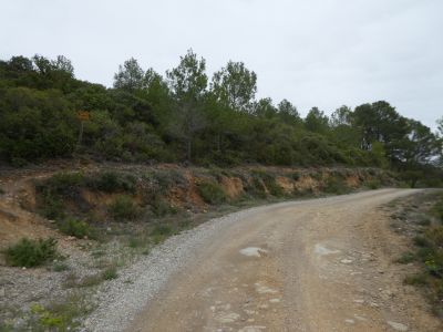 Croisement sentier Musie