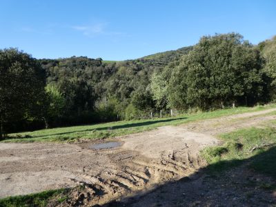 Croisement Carcasses