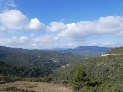 Vue Orbieu 5