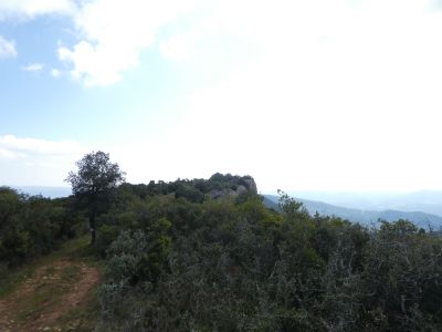 Vue Major