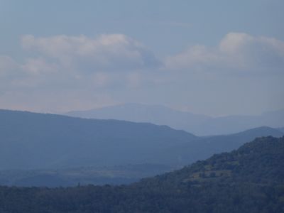Vue Coronat