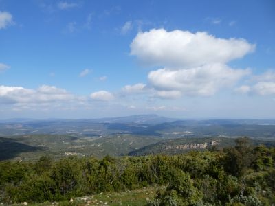Vue Alaric 2