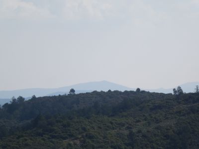Vue Estrons