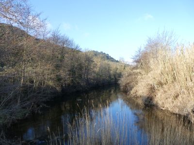 Vue Orbieu