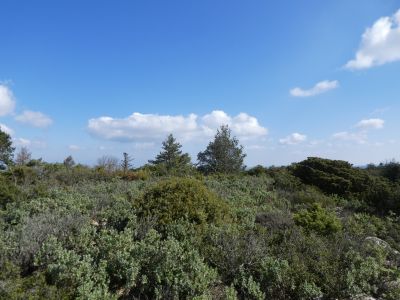 Descente Blanes