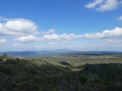 Vue Alaric 5