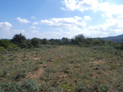 Vue Matefagine