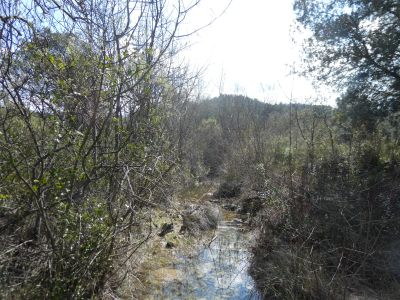 Vue Rouanel
