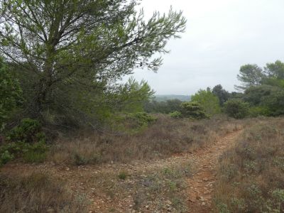 Croisement après Sermije