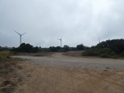 Croisement piste botanique