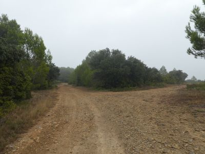 Croisement après Labade